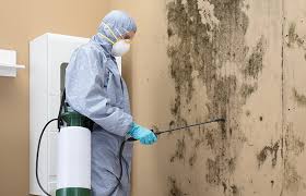 Best Mold Removal for HVAC Installations  in Sedalia, MO